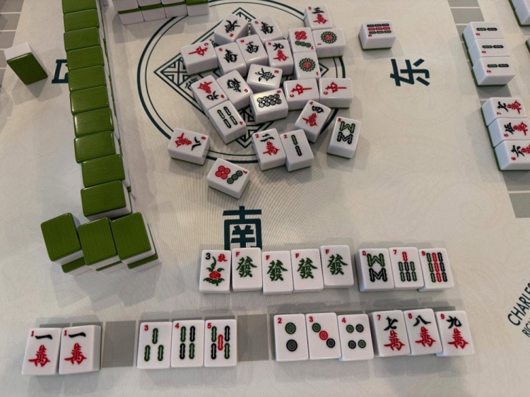 學(xué)習(xí)國粹！瓦妮莎打起了麻將 這麻將還是外國特供版